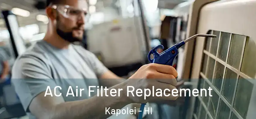  AC Air Filter Replacement Kapolei - HI