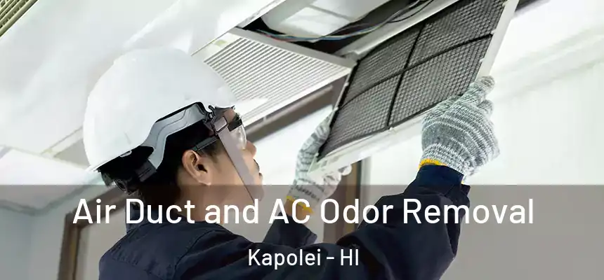 Air Duct and AC Odor Removal Kapolei - HI