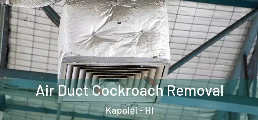  Air Duct Cockroach Removal Kapolei - HI