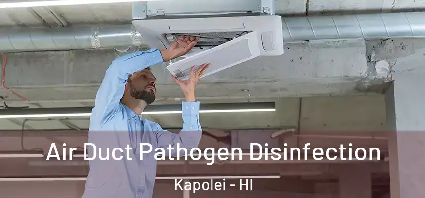  Air Duct Pathogen Disinfection Kapolei - HI