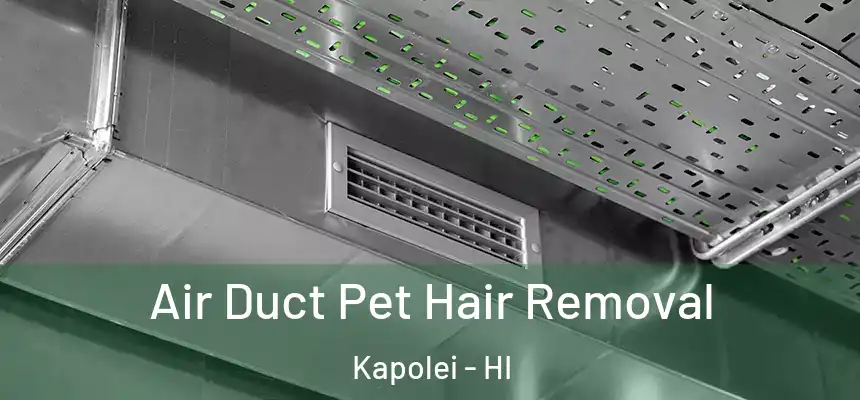  Air Duct Pet Hair Removal Kapolei - HI