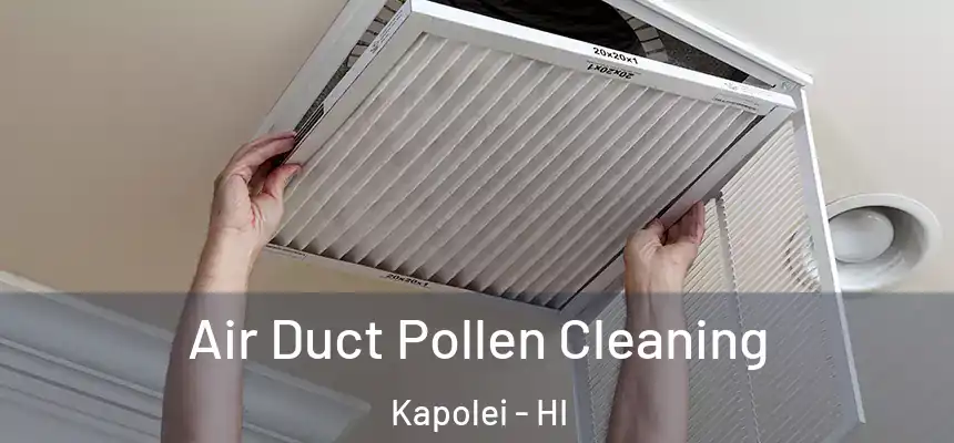  Air Duct Pollen Cleaning Kapolei - HI