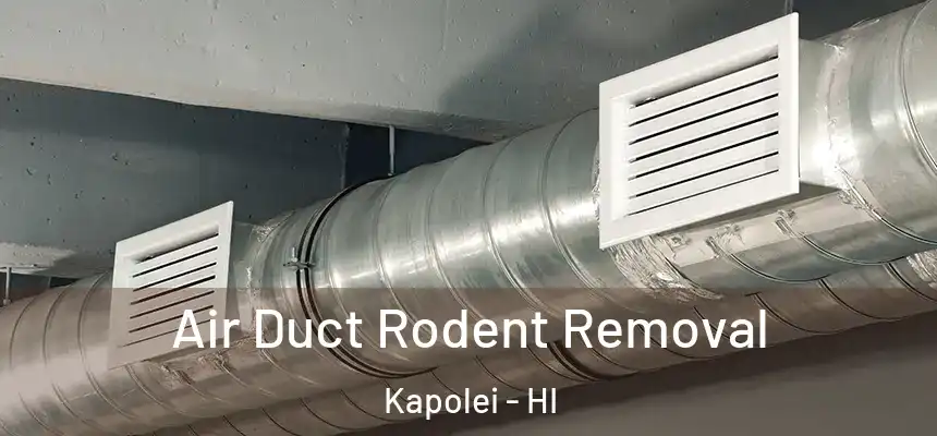  Air Duct Rodent Removal Kapolei - HI