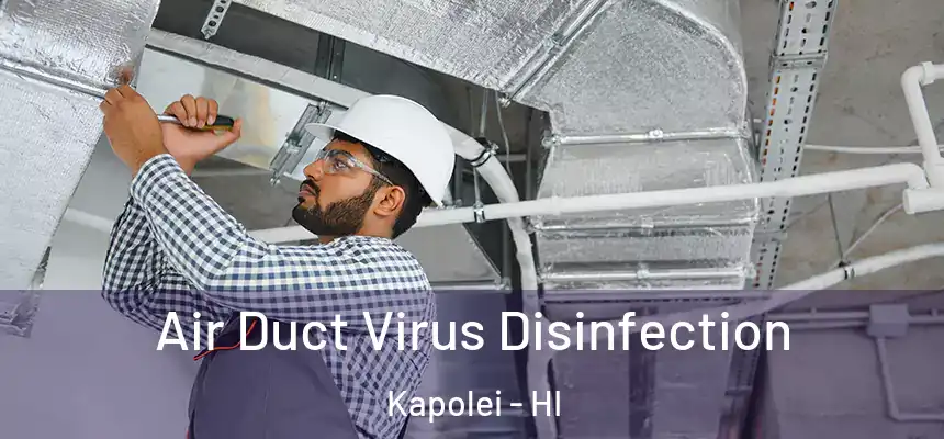  Air Duct Virus Disinfection Kapolei - HI