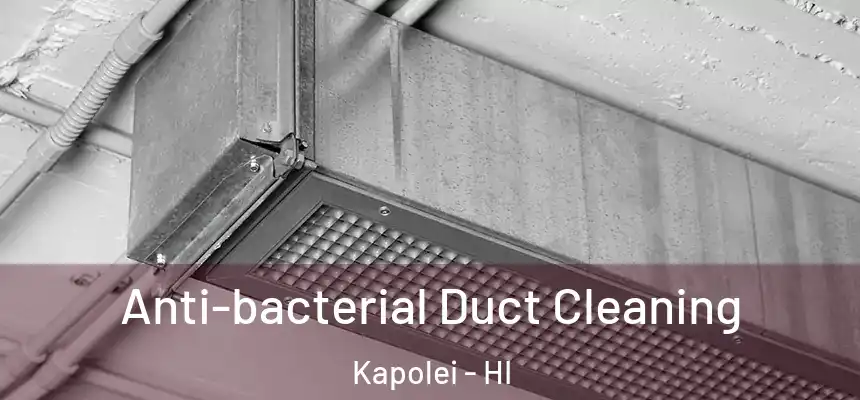  Anti-bacterial Duct Cleaning Kapolei - HI