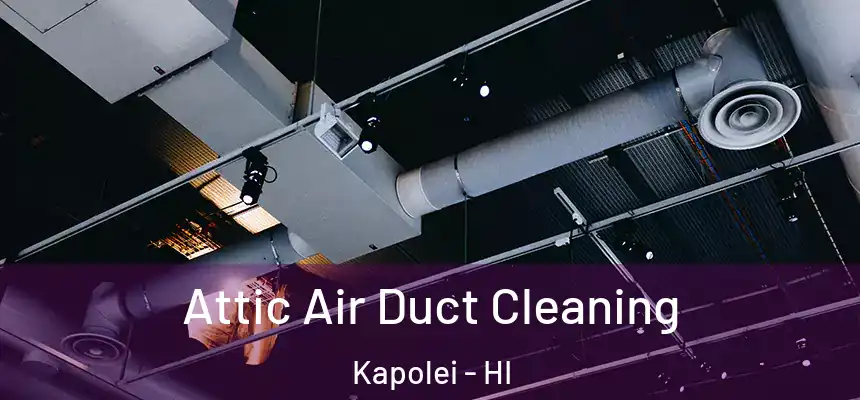 Attic Air Duct Cleaning Kapolei - HI
