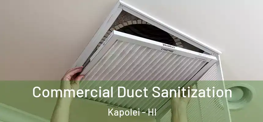  Commercial Duct Sanitization Kapolei - HI