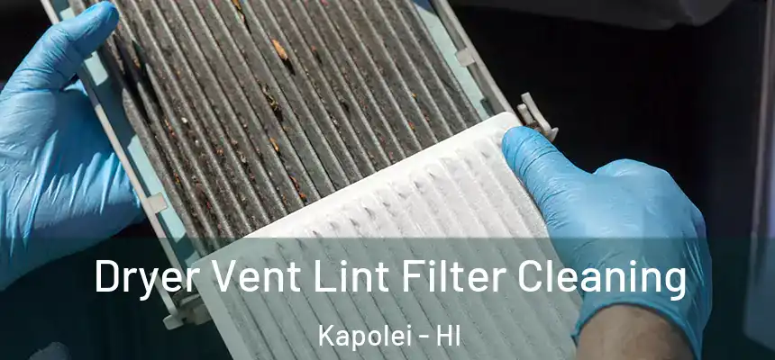  Dryer Vent Lint Filter Cleaning Kapolei - HI