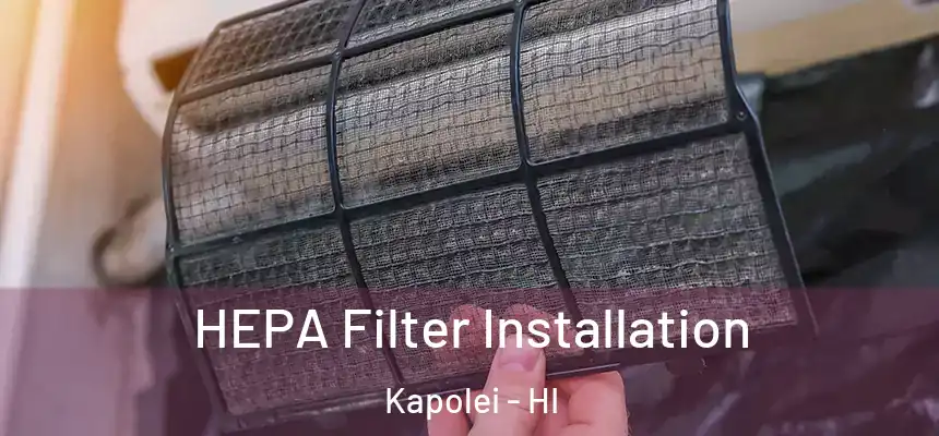  HEPA Filter Installation Kapolei - HI