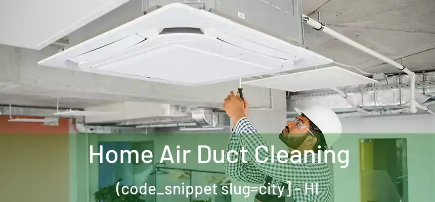  Home Air Duct Cleaning (code_snippet slug=city] - HI