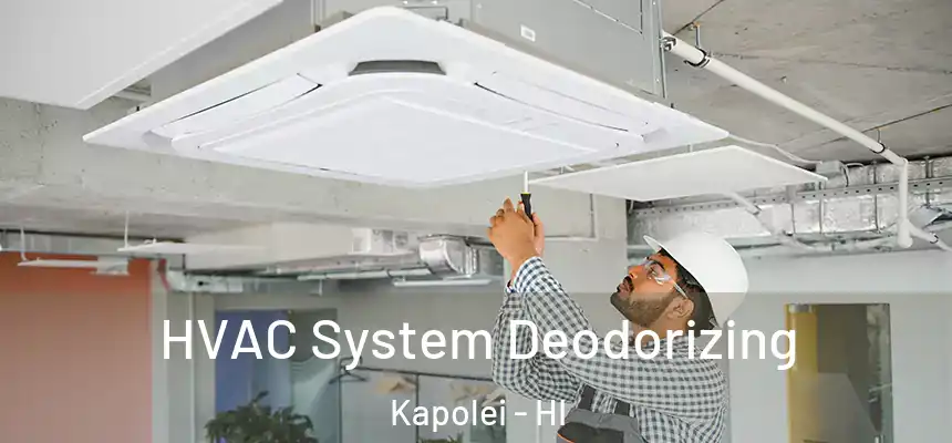  HVAC System Deodorizing Kapolei - HI