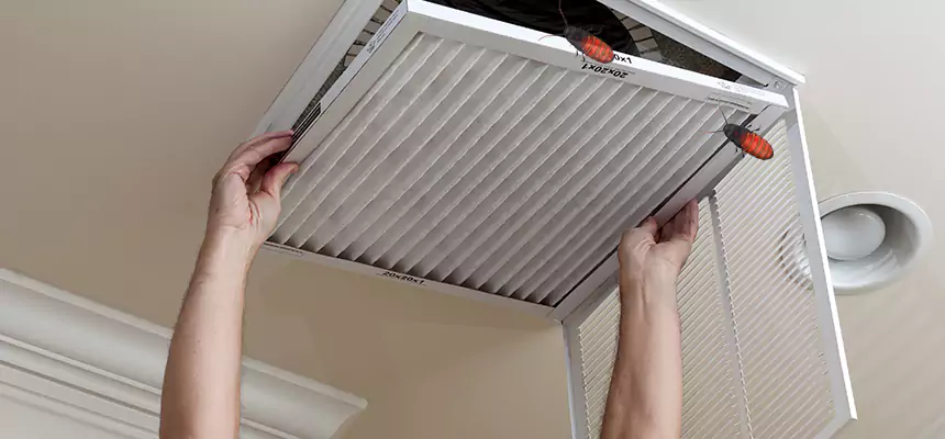 Preventive Cockroach-Proofing for Ducts in Kapolei