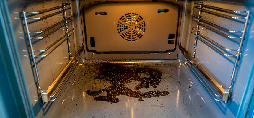 Our Dryer Vent Mold Cleaning Services in Kapolei, HI