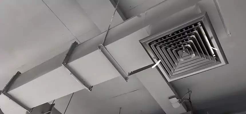 Our Pest Removal From Ducts Services in Kapolei, HI