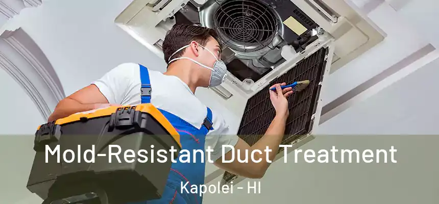  Mold-Resistant Duct Treatment Kapolei - HI