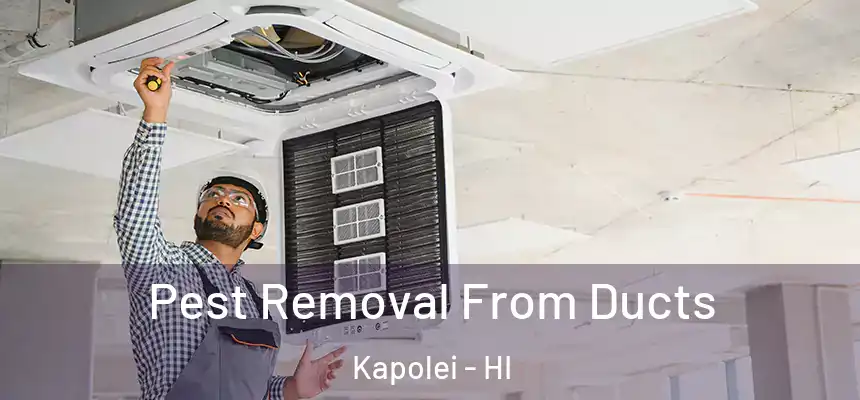  Pest Removal From Ducts Kapolei - HI