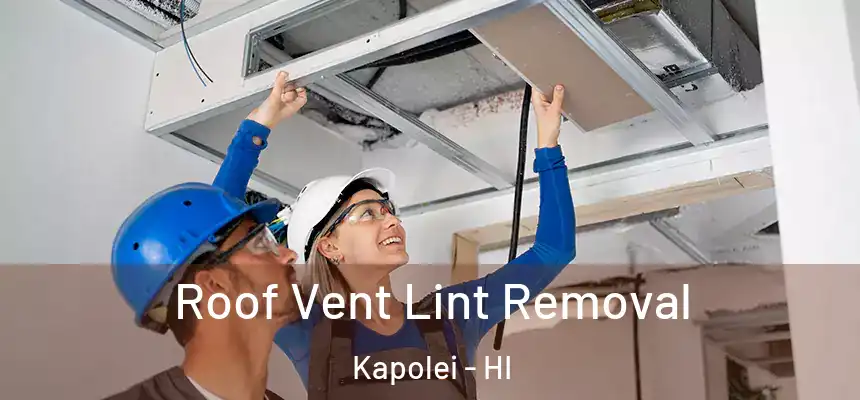  Roof Vent Lint Removal Kapolei - HI