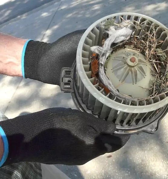 About Air Duct Rat Removal in Kapolei, HI