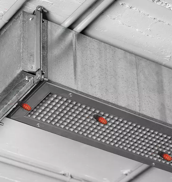 Affordable Insect Removal from Air Ducts in Kapolei, HI