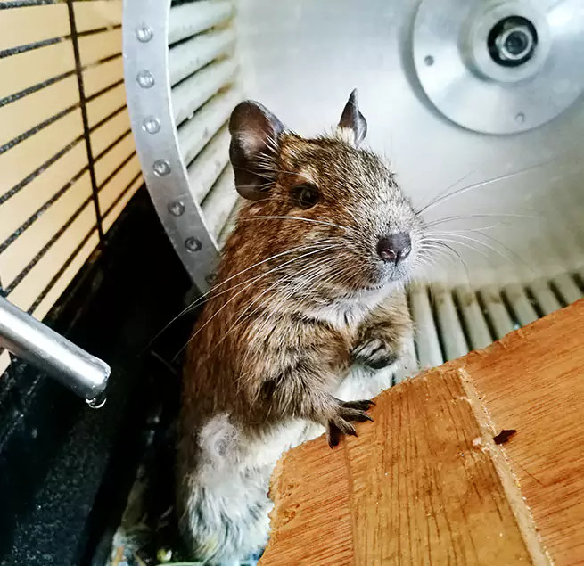 Why Homeowners & Businesses Trust Us Kapolei, HI?