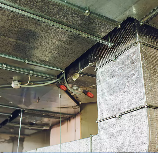 Why Homeowners & Businesses Trust Us Kapolei, HI?