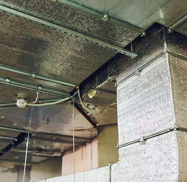 Why Homeowners & Businesses Trust Us in Kapolei, HI?