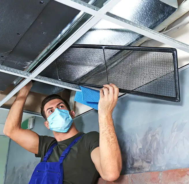 Why Homeowners & Businesses Trust Us in Kapolei, HI?