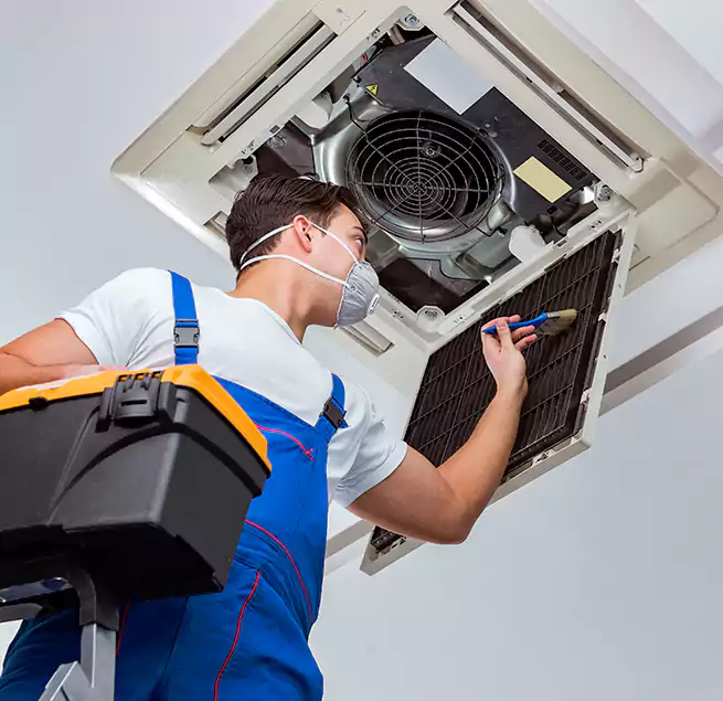 Why Homeowners & Businesses Trust Us in Kapolei, HI?