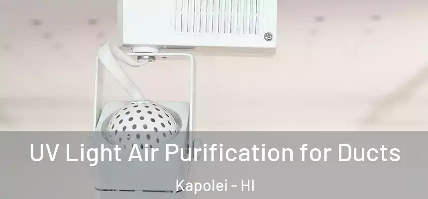  UV Light Air Purification for Ducts Kapolei - HI